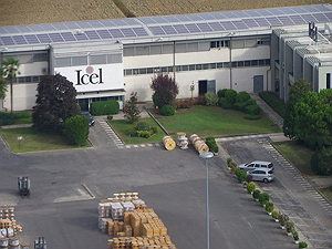 ICEL