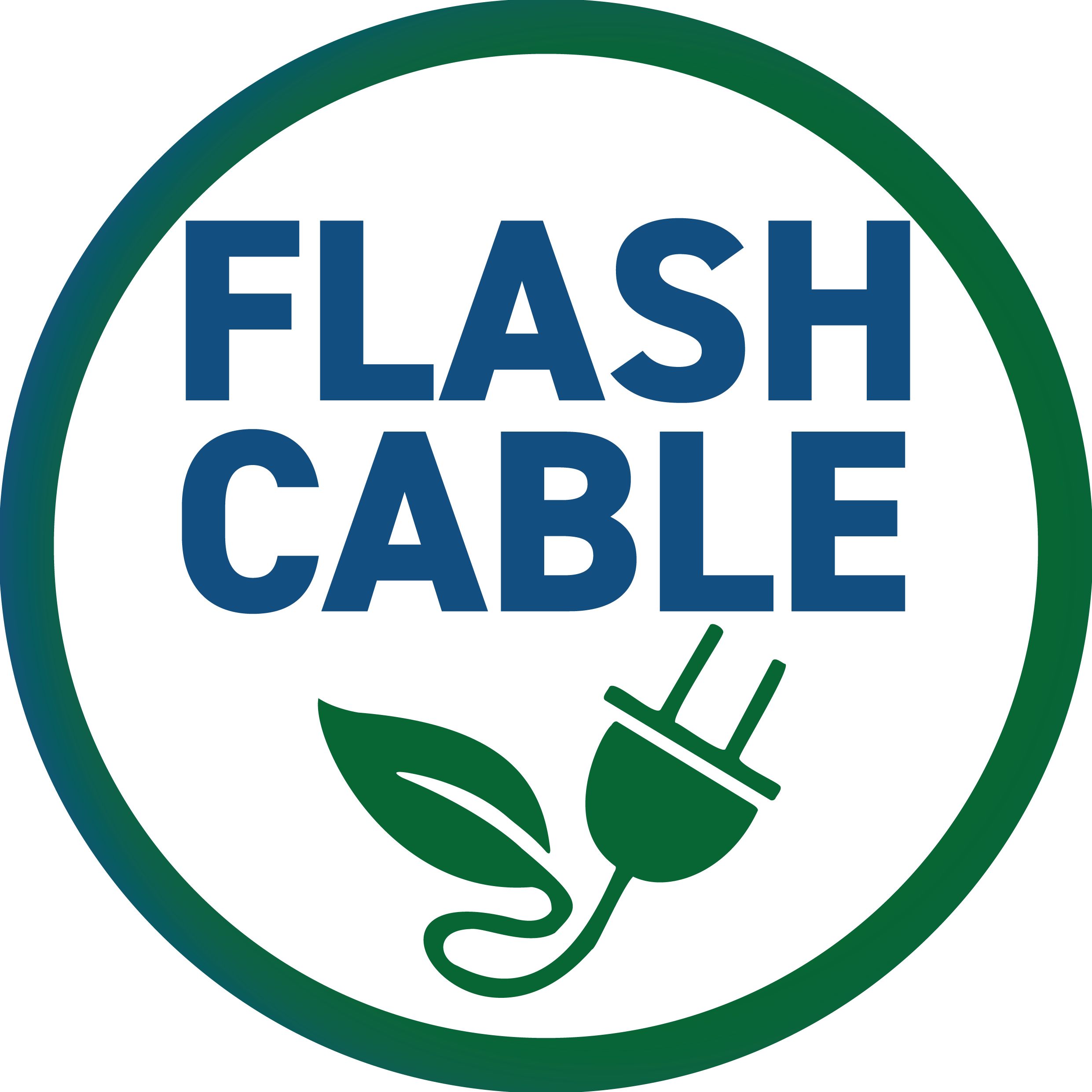FLASH CABLE