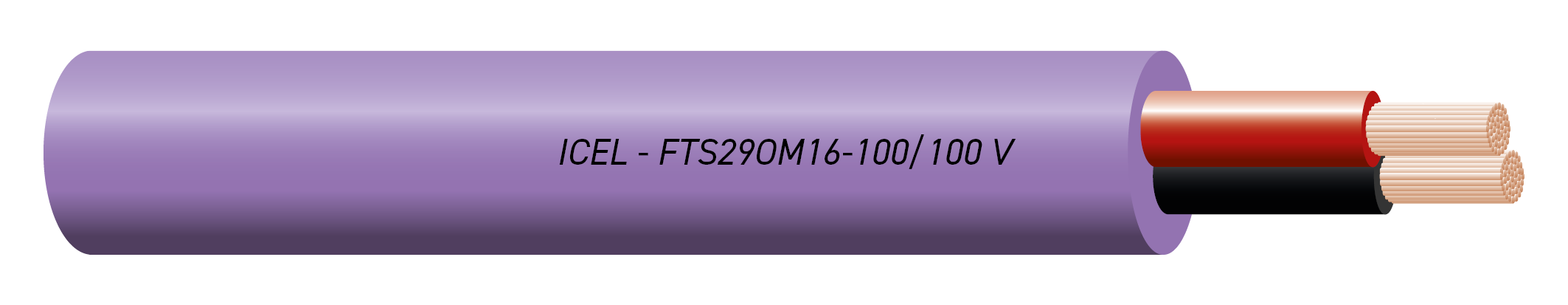 FTS29OM16-100/100 V