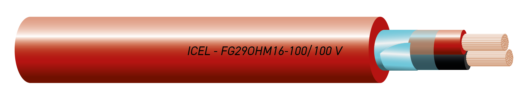 FG29OHM16-100/100 V 
