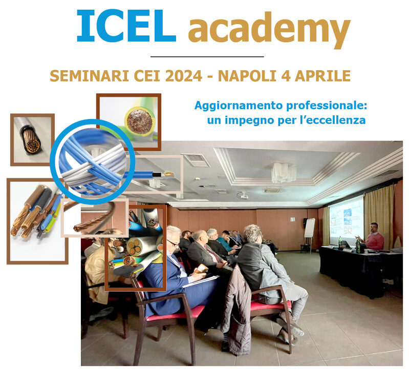 ICEL ACADEMY: SEMINARI CEI 